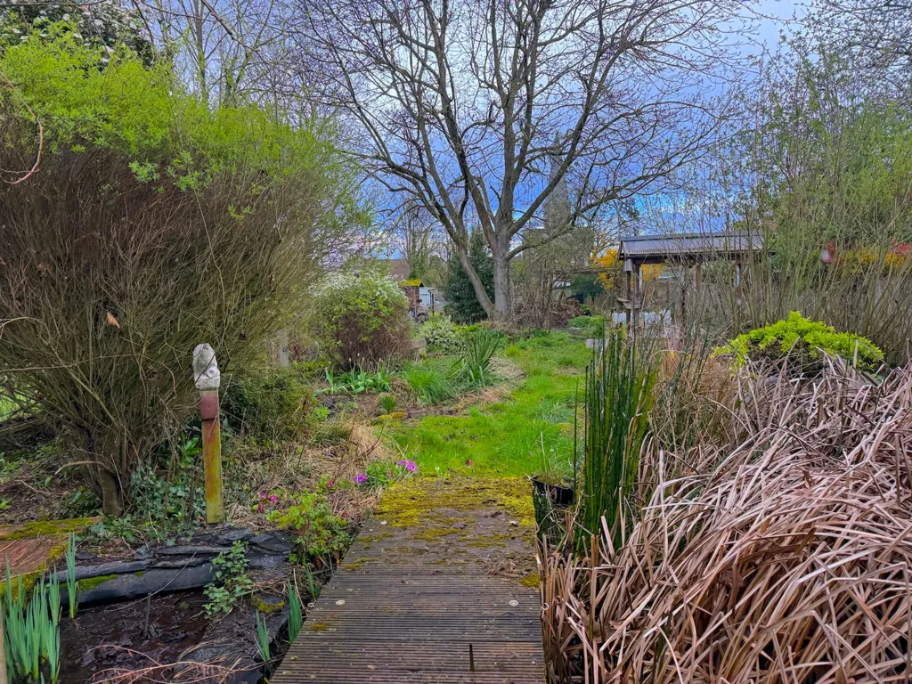 garden