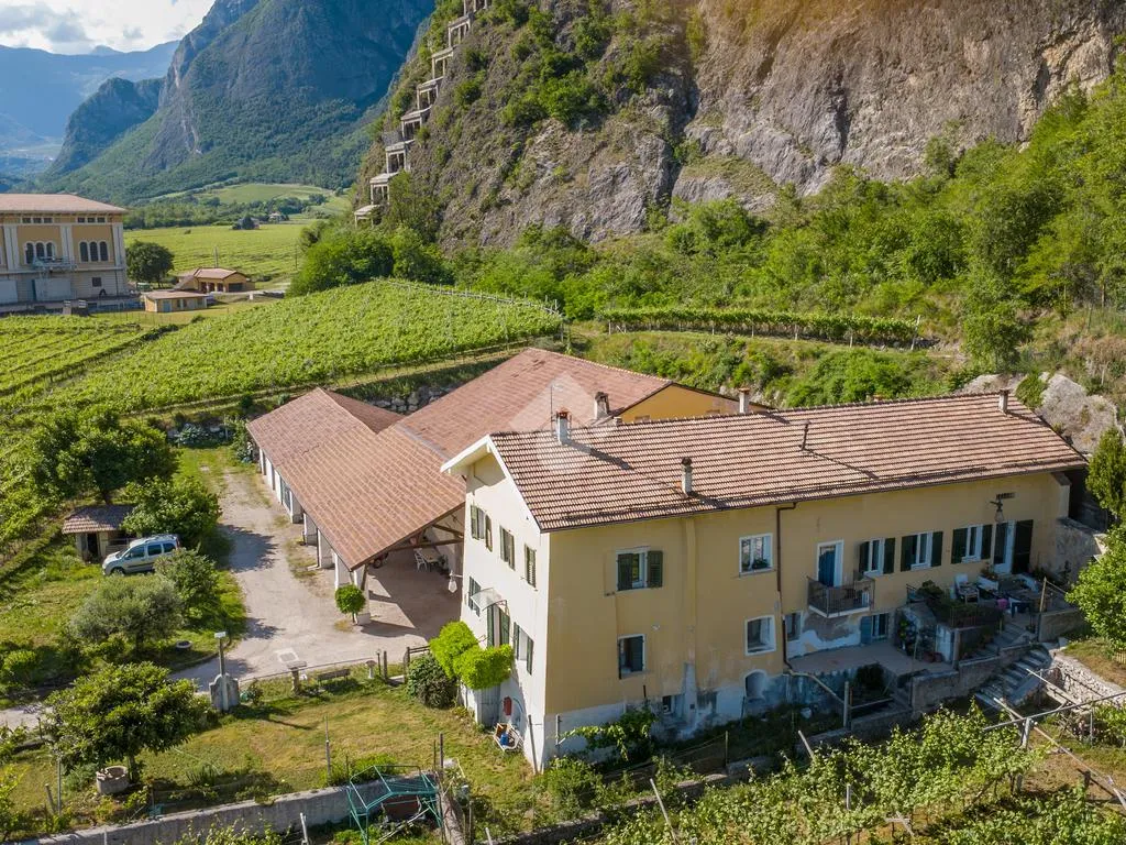 Aerial - Historic Maso with Vineyard in Mezzocorona