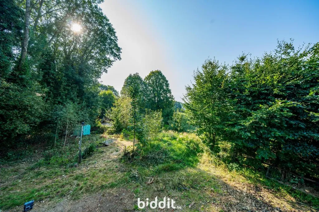 Aed - Renovable Building with Garden in Amblève