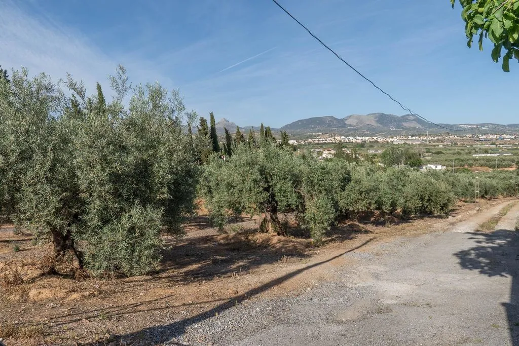 Aed - Buildable Land with Granada Views in Albolote