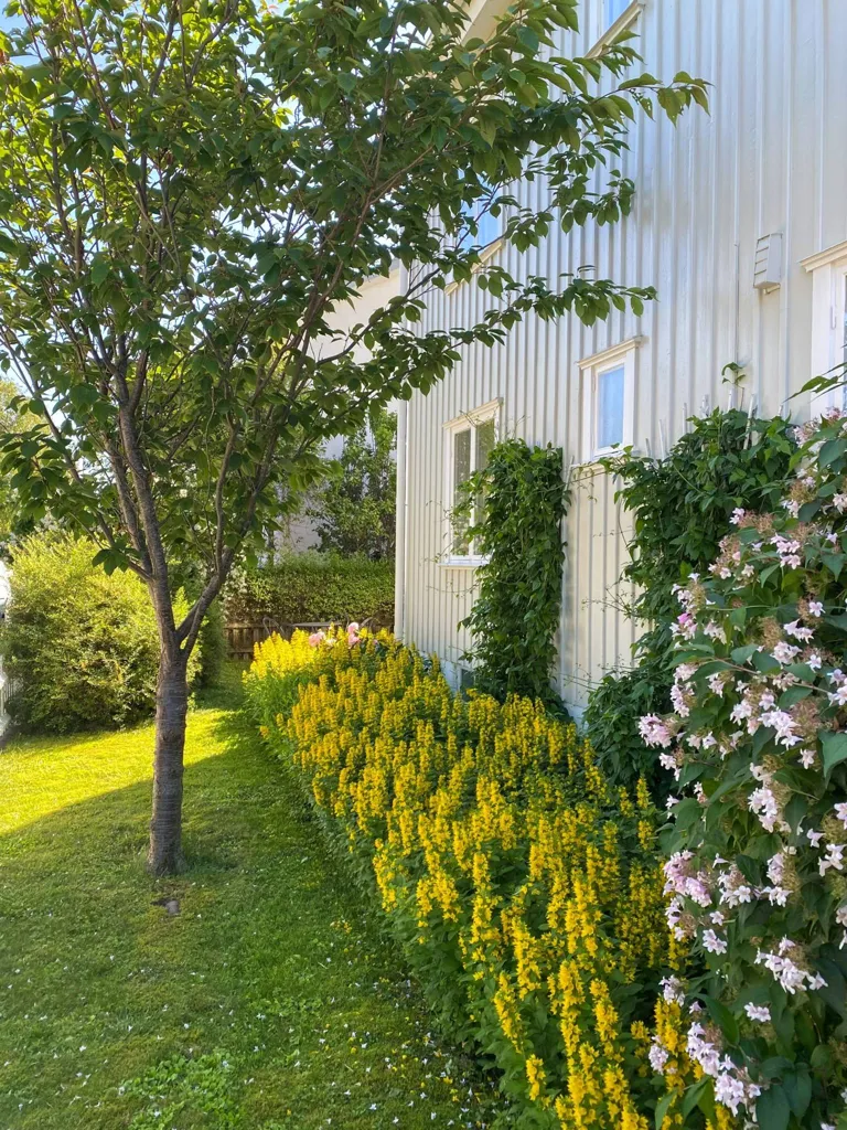 6-toaline maja asukohas Uppsala kommun