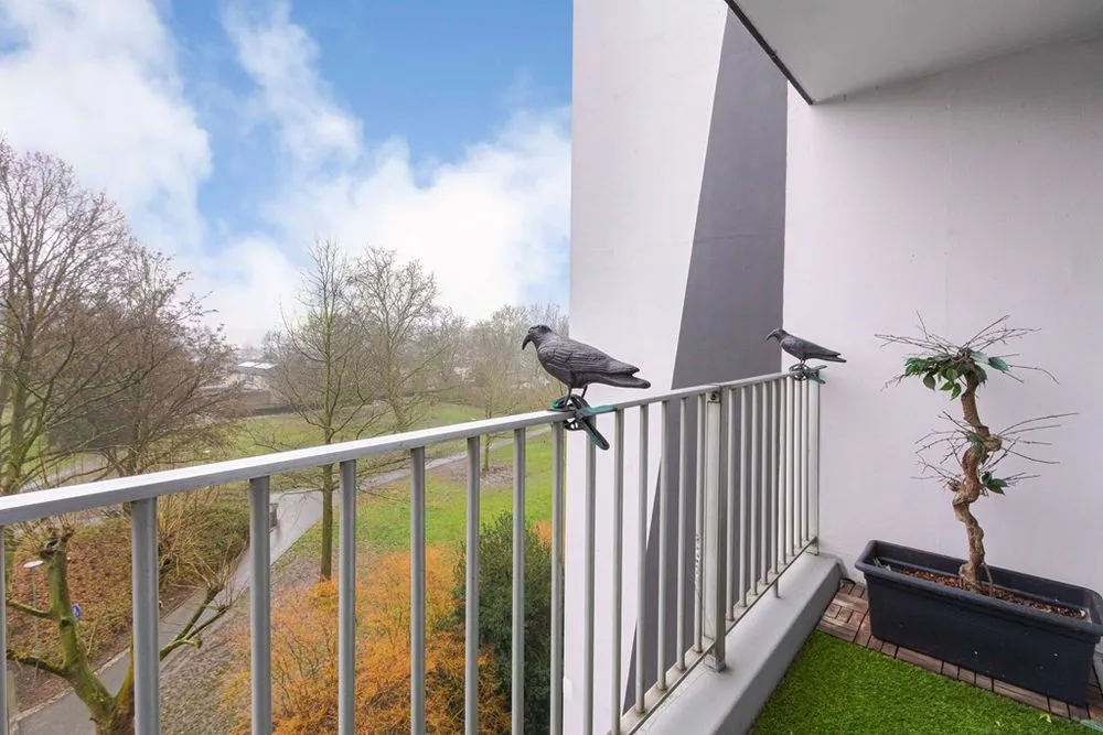 Appartement 2 pièces à Brunssum