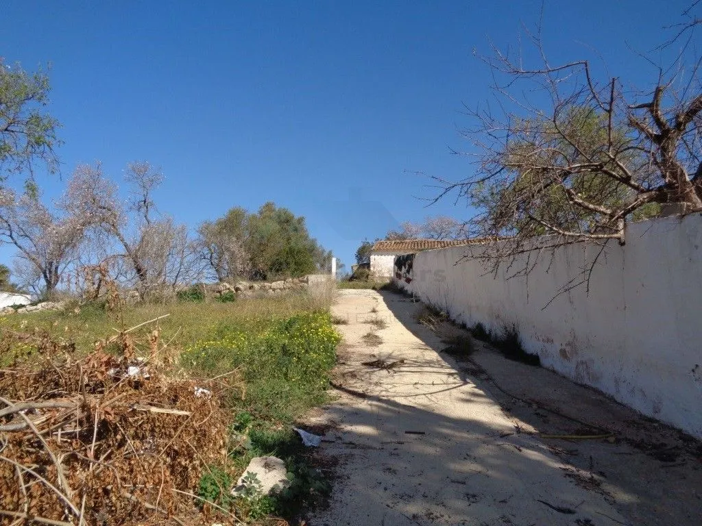 Jardin - Rustic House with Land in Vale Judeu, Loulé