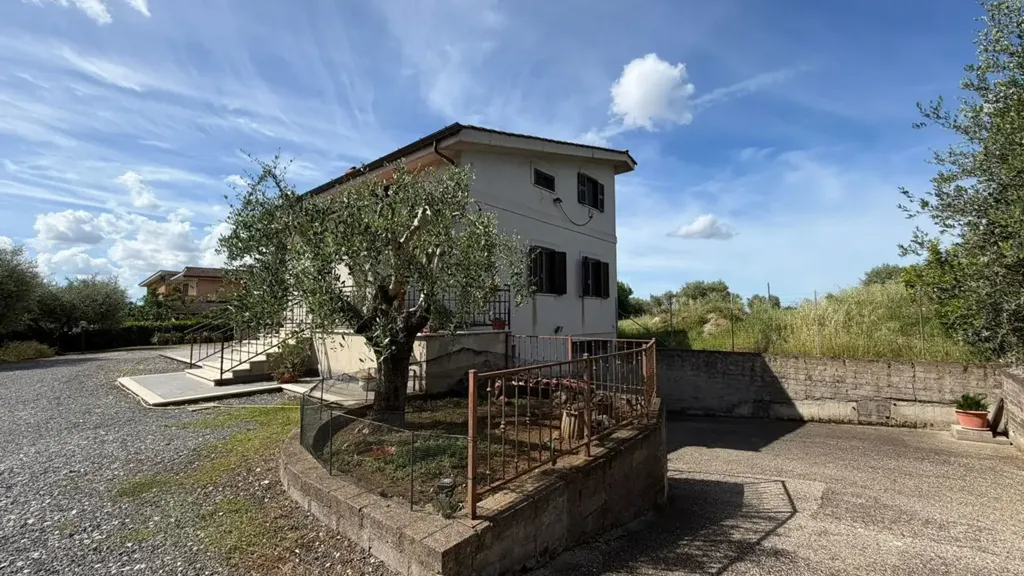 Esterno - Rustic Villa with Olive Grove in Lanuvio