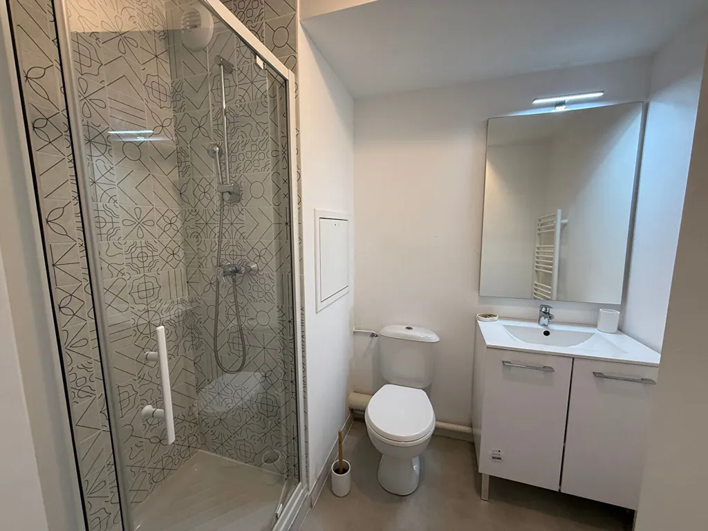 Vannitoad - Furnished Studio Flat near Universities in Troyes