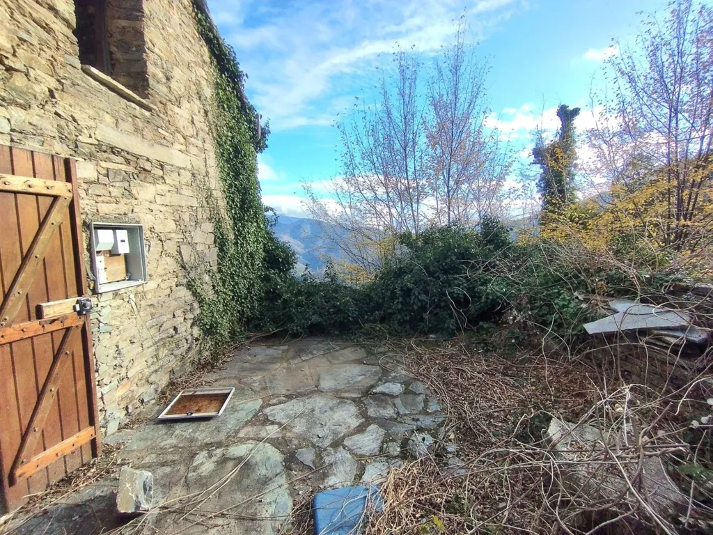 Jardin - Maison en Pierre à Rénover à Campodonico
