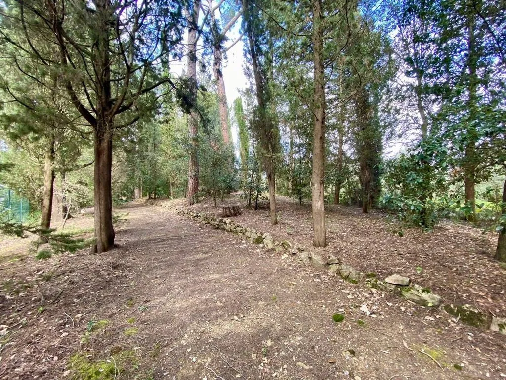 Jardin - Colonica with Pool in Greve in Chianti