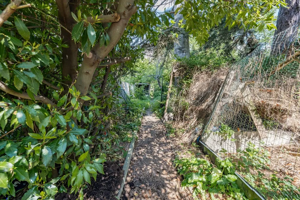 garden