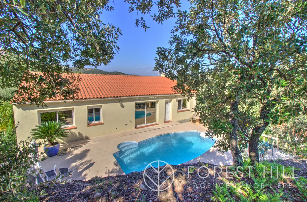 Bassein - Detached House with Pool in Le Boulou
