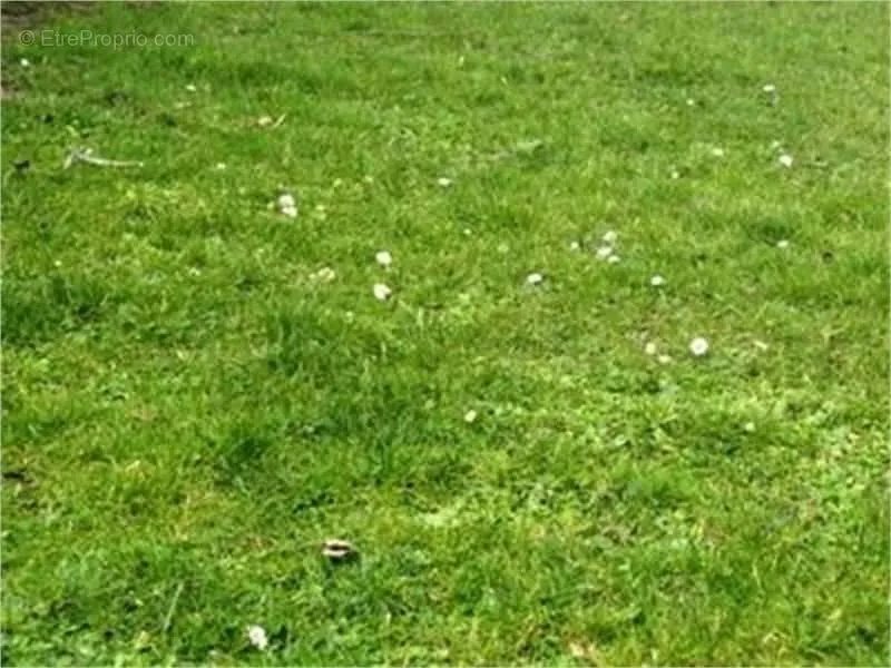 Garden - Buildable Land near Town Hall in L'Orbrie
