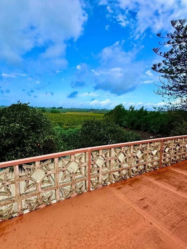 terrace_patio