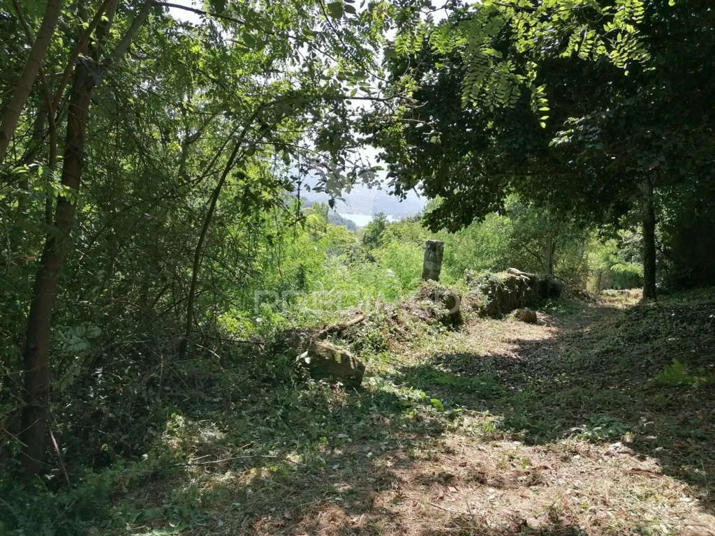 Jardin - Construction Plot with River Douro Views