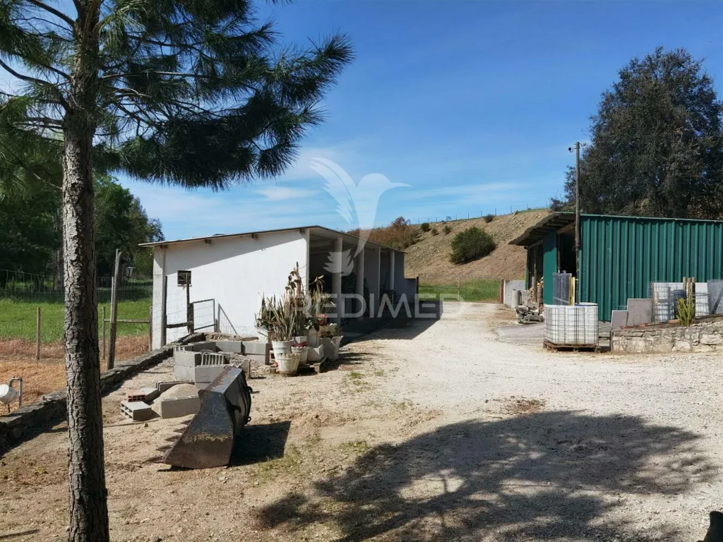 Jardin - Quinta with Olive Grove in Torre do Bispo