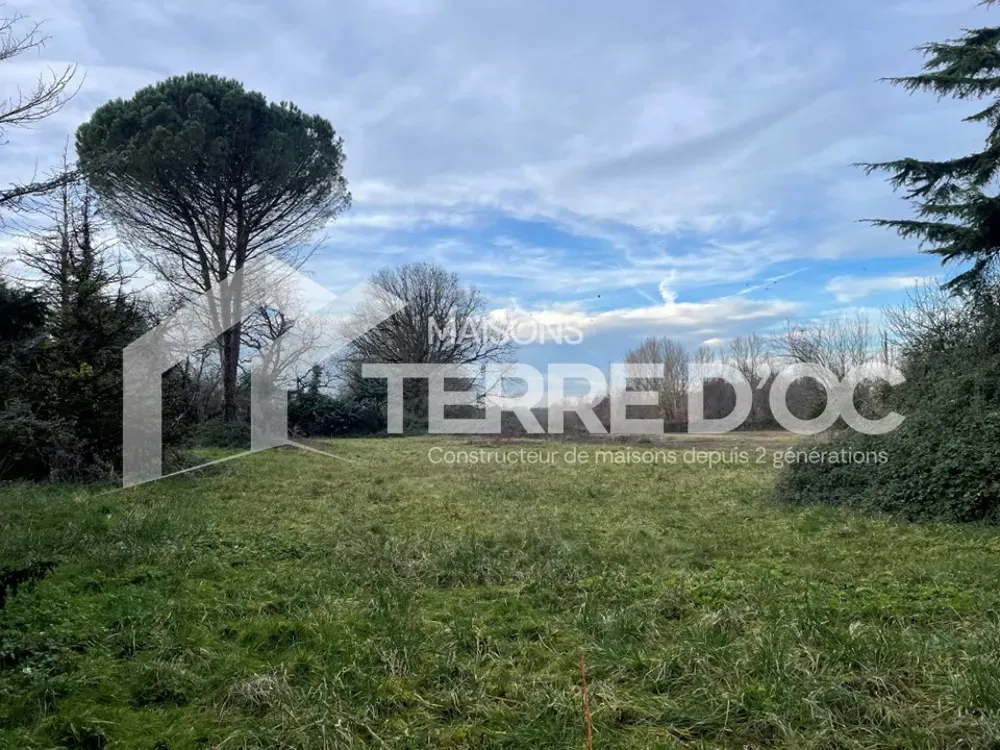 Jardin - Maison Contemporaine avec Jardin à Parisot