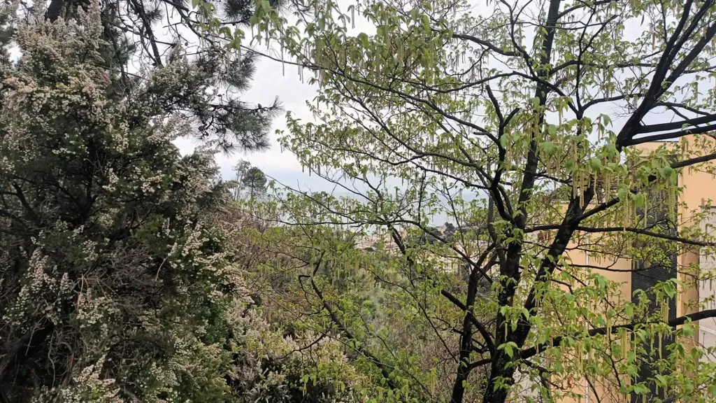 Garden - Apartment with Garden in Pegli, Genoa