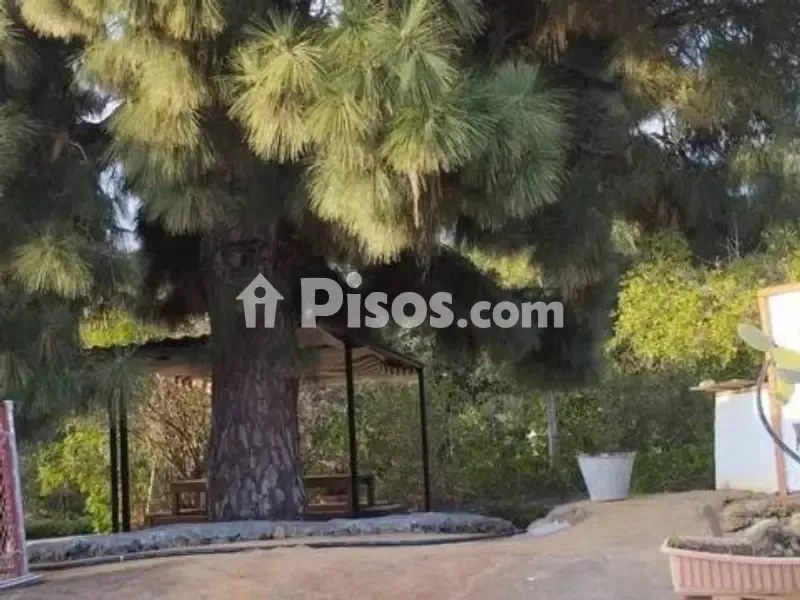 Aed - Rustic Cottage with Pool on Camino Nicolás Brito