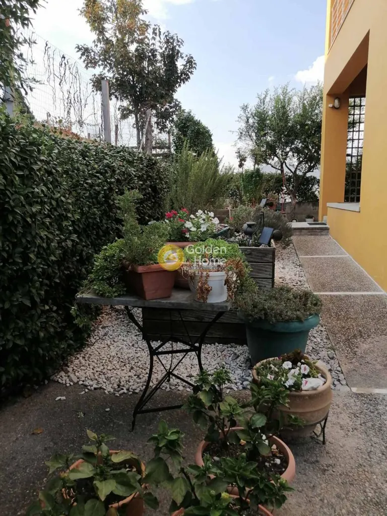 4-room house in GR