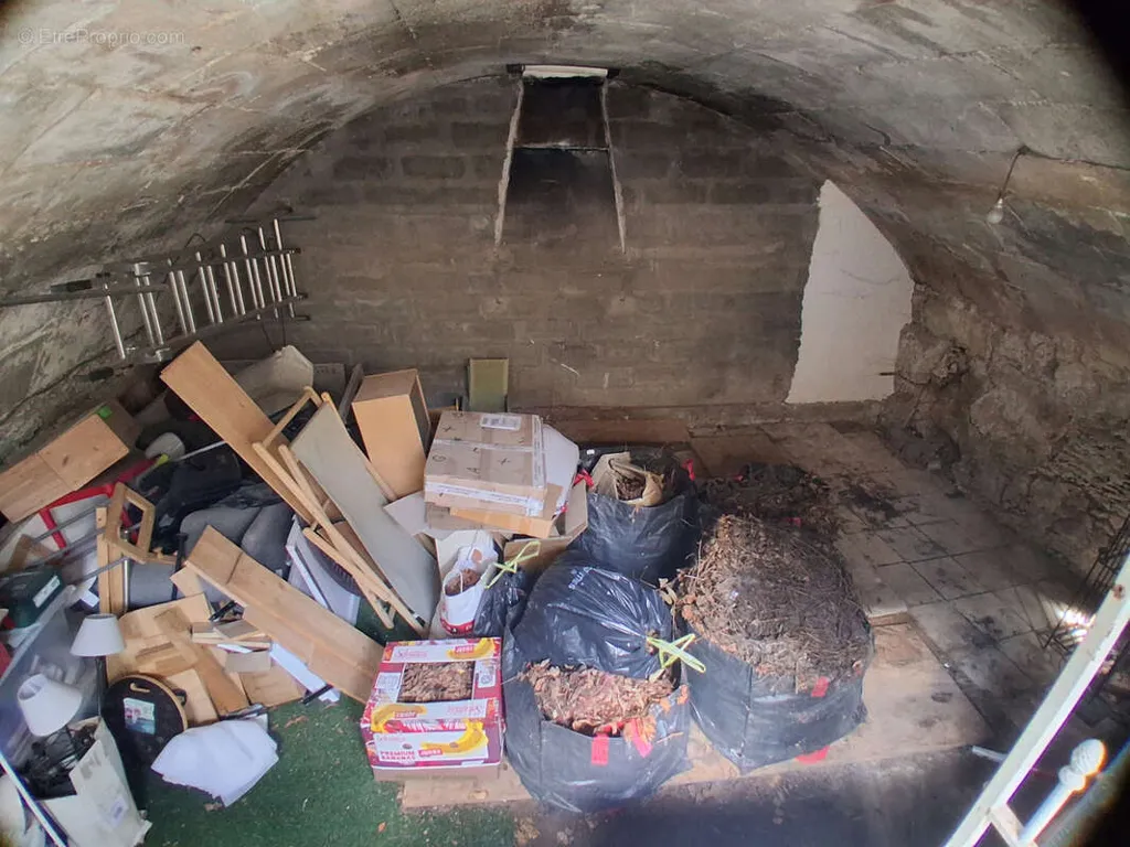 cellar
