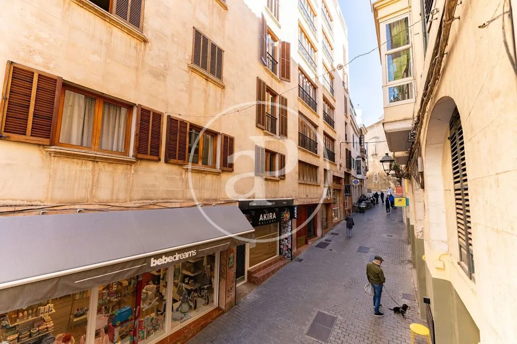Extérieur - Charming 2-Bedroom Apartment in Palma's Old Town