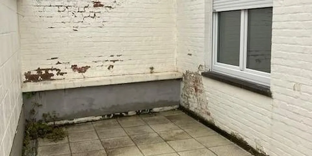 Jardin - Immeuble avec Garage et Combles à Lodelinsart