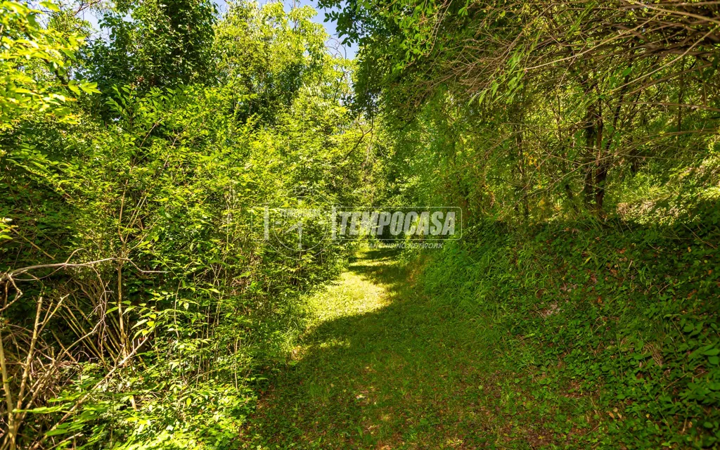 Giardino - Trilocale with Garden in Rivalba