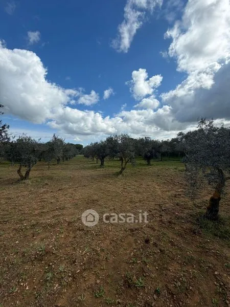 Giardino - Rustic Villa with Olive Grove in Caltagirone