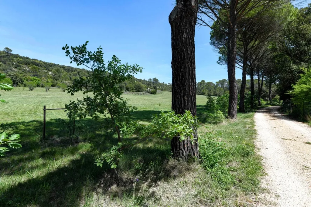 Jardin - Propriété de Prestige avec Parc à Uzès