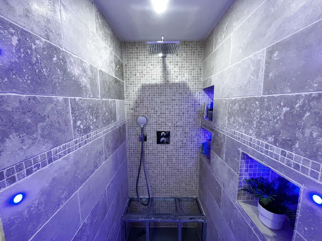 Bagni - Two Apartments with Garden in Vizille