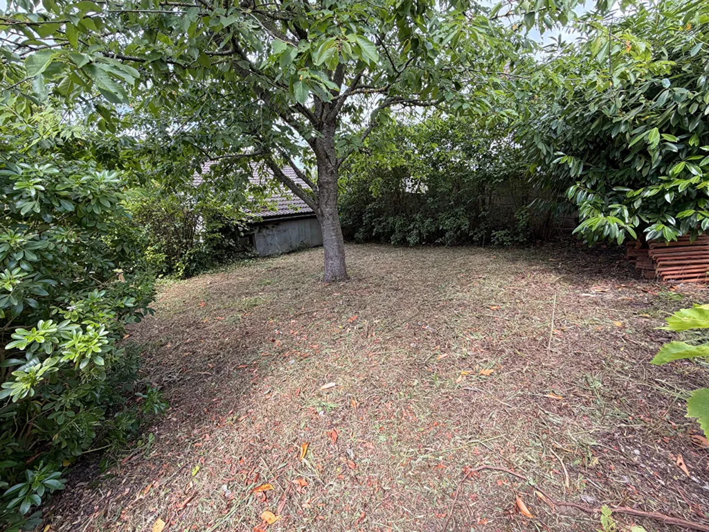 Maison Ancien Garage avec Jardin à Draveil