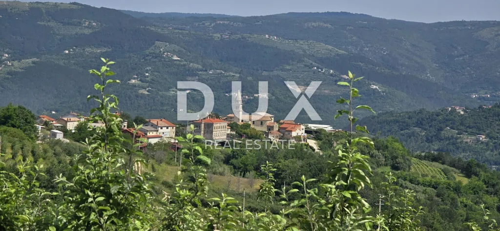 Panoramic Land with View in Motovun, Istra