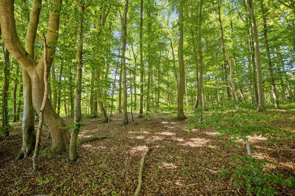 Holiday Plot with 5G Coverage in Haderslev