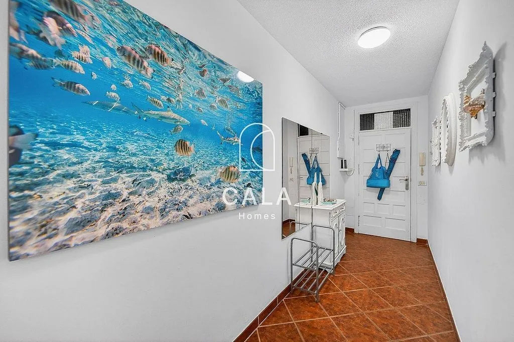 Entrée - Apartment with Pool and Balcony in Mesa del Mar