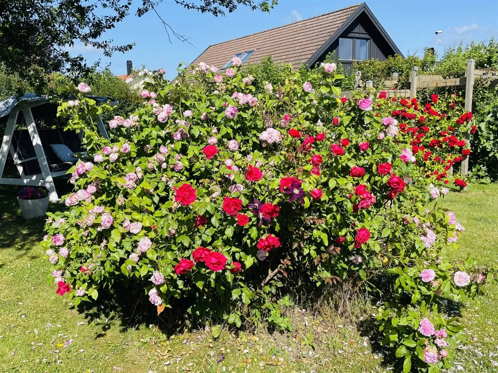 Aed - Spacious Villa with South View in Simrishamn