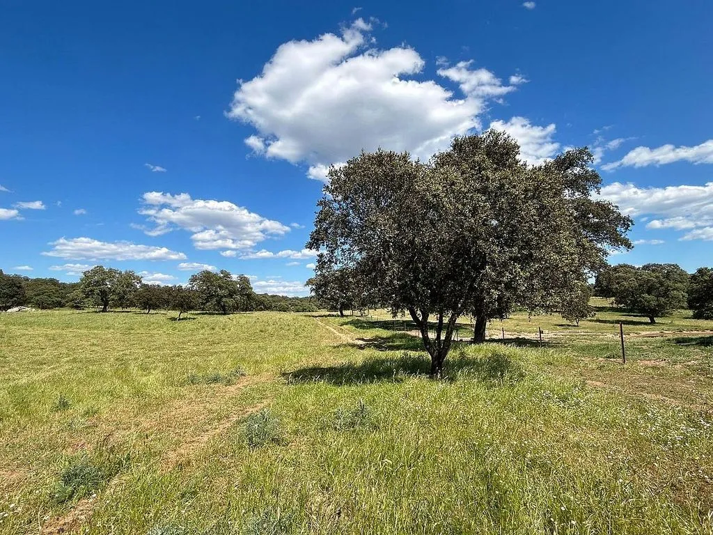 Aed - Rustic Cortijo with Pool in Alanís
