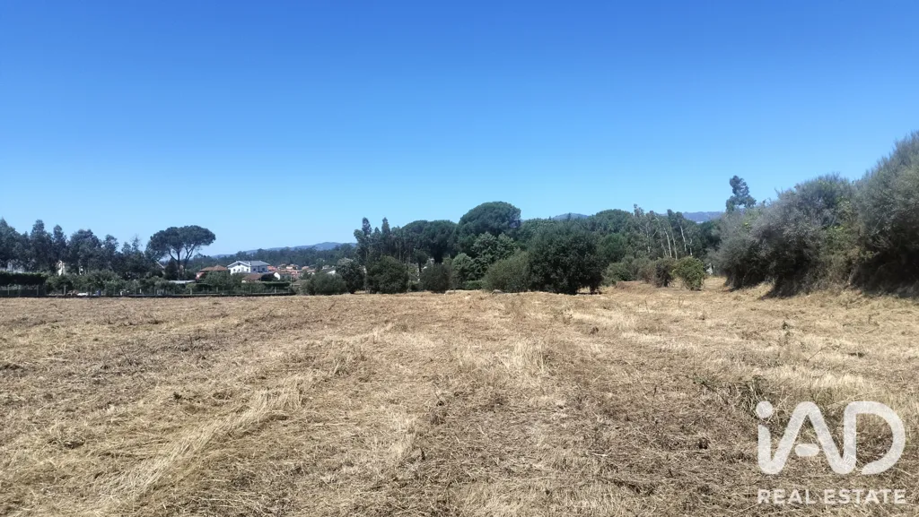Rural Land with Expansion Potential in Tondela