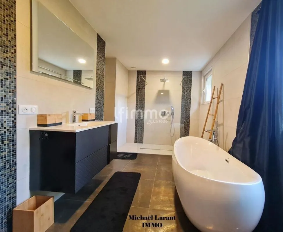 Vannitoad - Renovated House with Pool near Lencloître
