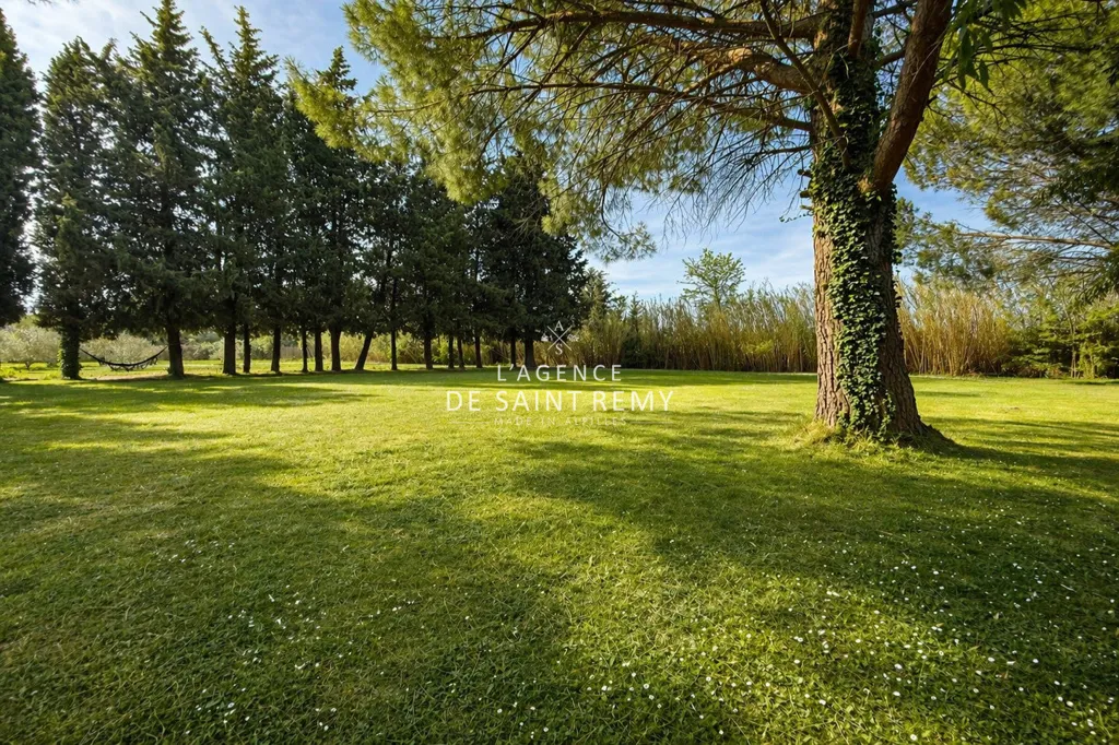 Jardin - Mas de Plain-Pied avec Piscine à Saint-Rémy-de-Provence