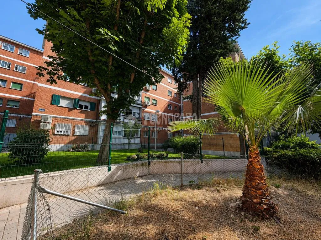 Jardin - Ground Floor Flat with Garden View in Latina