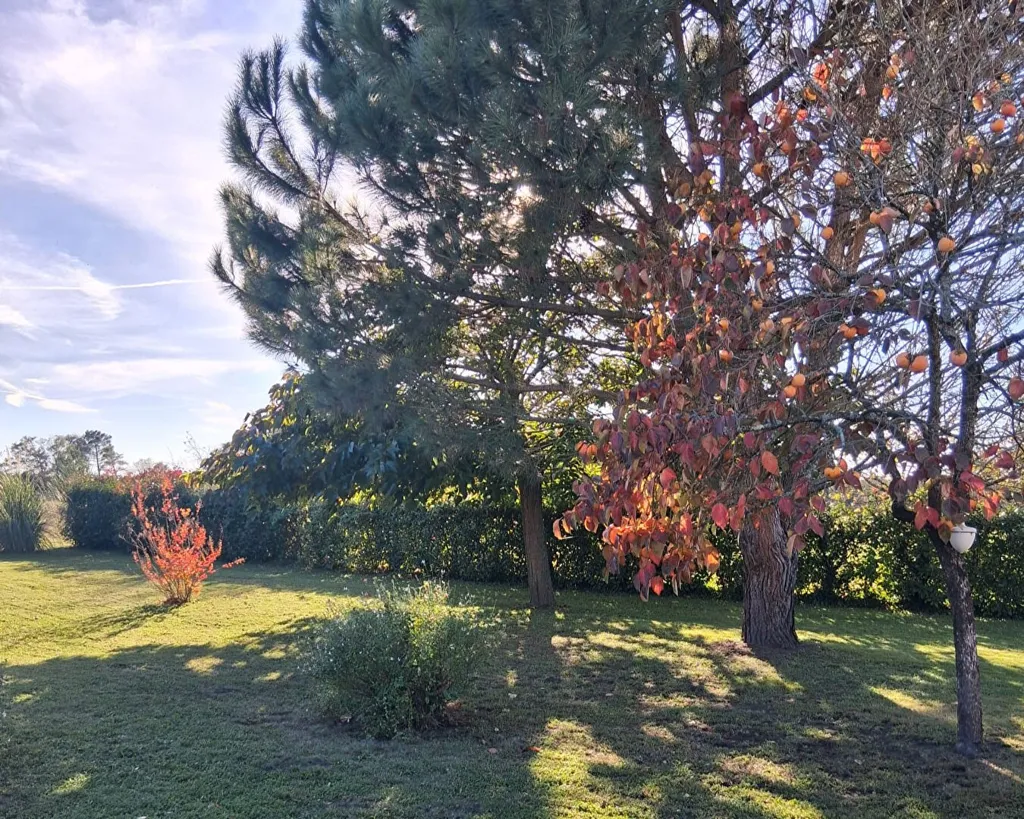 Jardin - Maison toit gascon avec piscine à Haut-Mauco
