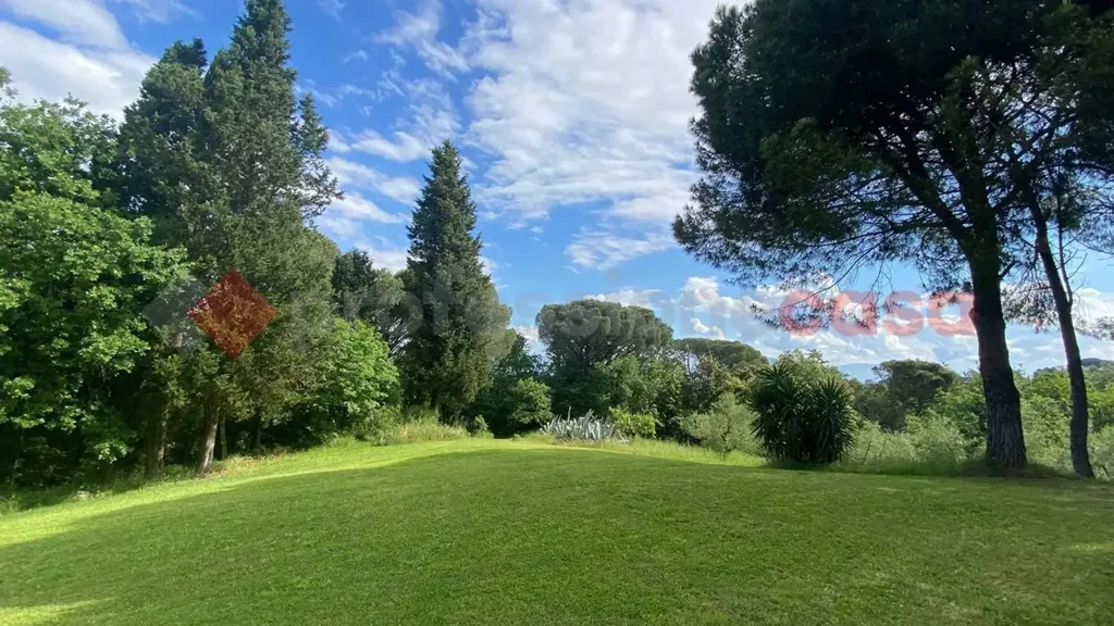 Aed - Villa with Olive Grove in Lastra a Signa