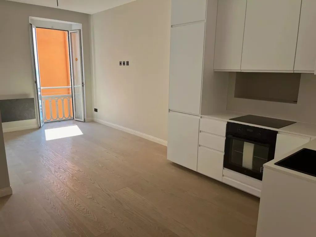 Kitchen - Renovated Apartment with Sea View in Villefranche