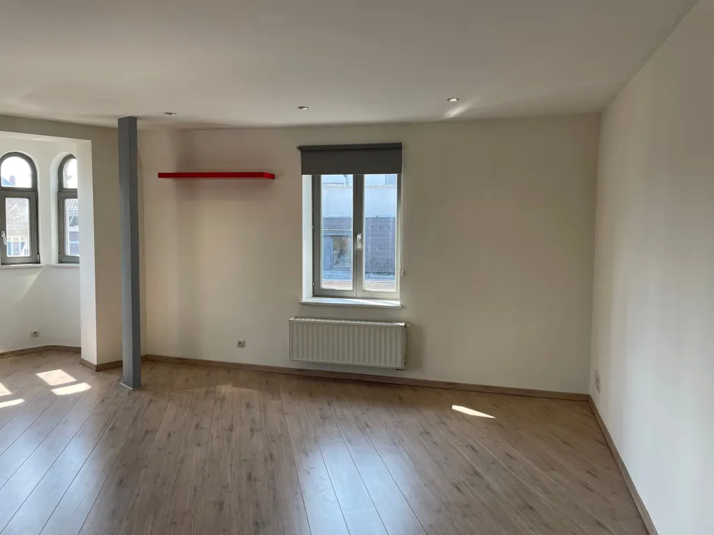 Toad - Light-Filled Flat with Terrace in Gent