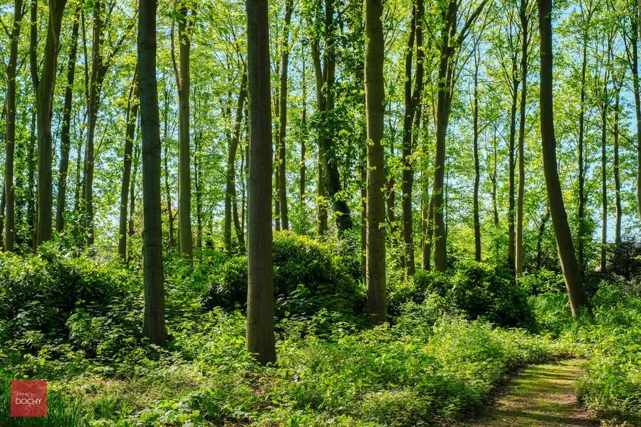 Jardin - Villa Caractéristique avec Parc de 2,7ha près de la Côte