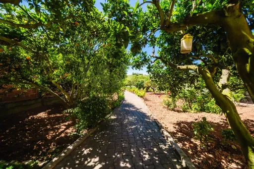 Jardin - Charming House with Fruit Trees in Private Setting