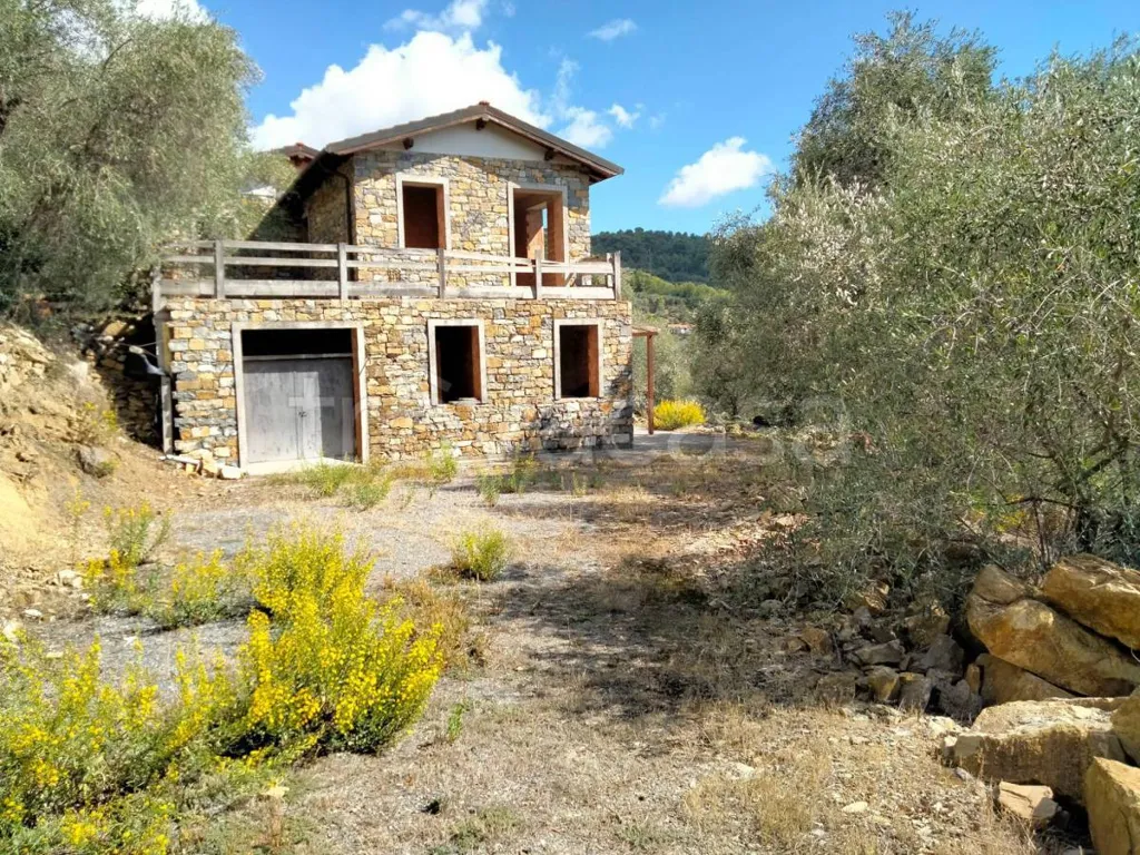 Välivaade - Rustic Villa with Olive Grove in Diano San Pietro
