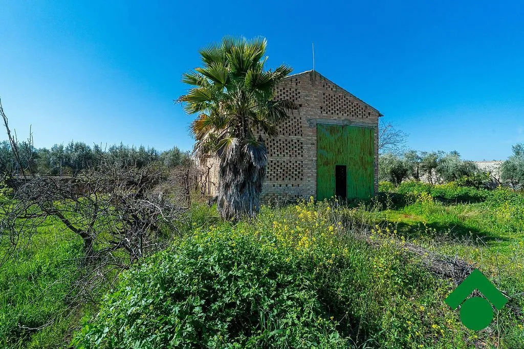Esterno - Rustic Farmhouse with Terrace in Chauchina