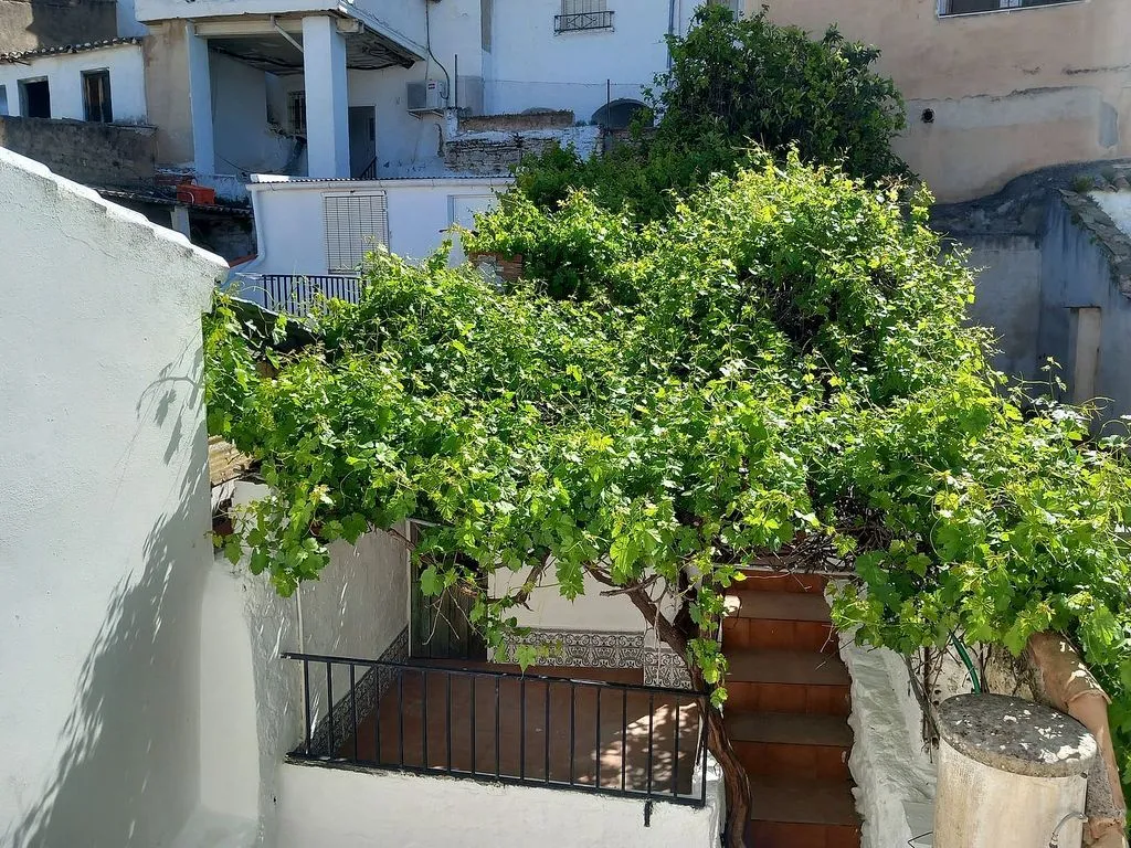 Jardin - Terraced House with Patio in Martos
