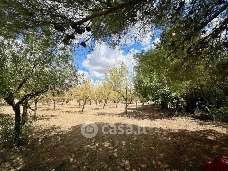 Jardin - Villa with Garden in San Cataldo