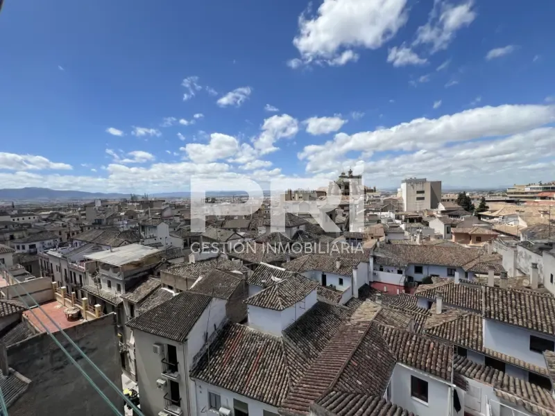 Terrasse - Renovated Apartment with Views in Realejo
