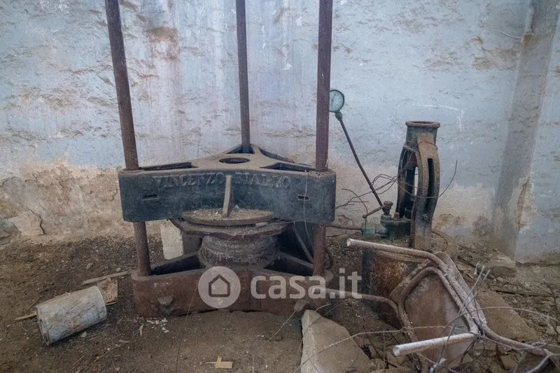 Jardin - Masseria with Olive Grove in Barletta